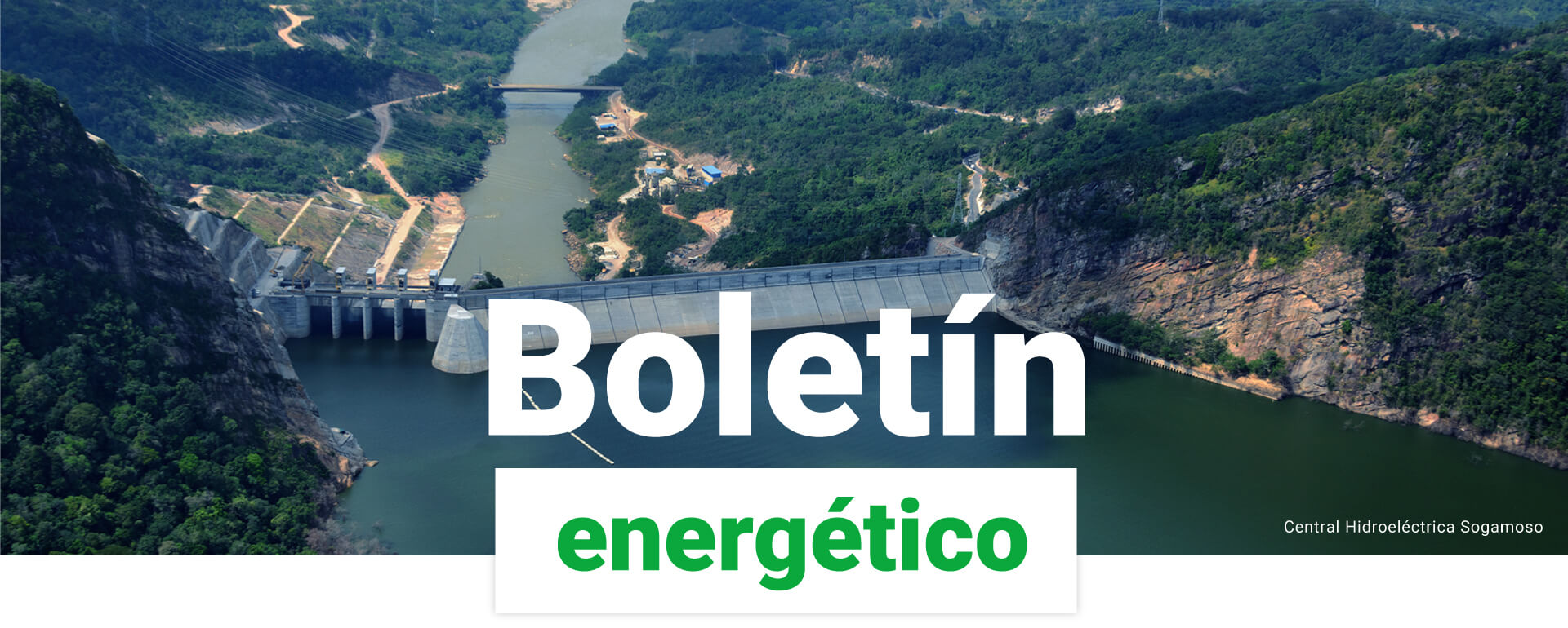 Banner Boletín energético